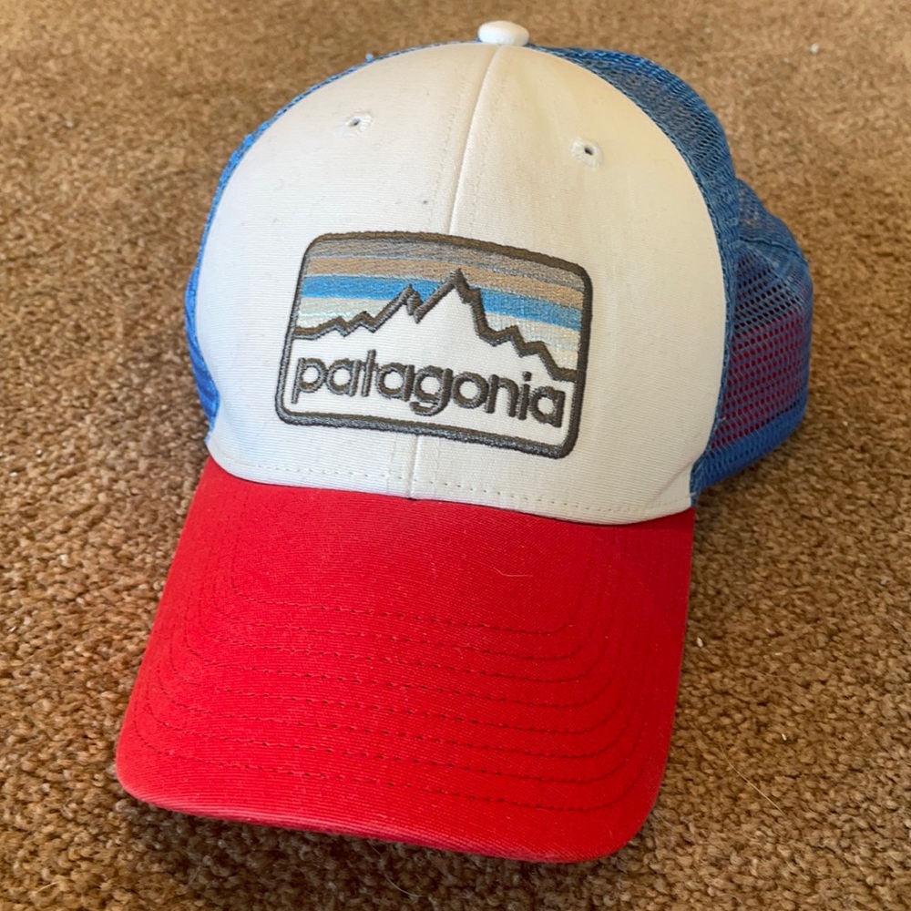 Patagonia Snap-Back Hat